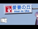 【シンプル車載動画投稿祭】シンプルに走るつまごいパノラマライン