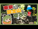 【登山？】7月　ついに山開き！東京の富士山に登るクマー！　江古田富士、池袋富士、品川富士（富士塚）【#ぐでっとクマ】