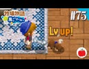 【実況】牧場物語 ようこそ！風のバザールへ を初見で遊ぶいも【#75】