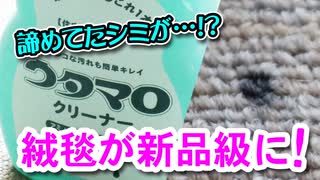 気になってた絨毯の汚れ、ウタマロで解決しました