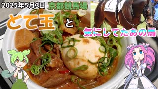 2025年5月3日 京都競馬場 どて玉と気にしてたあの馬