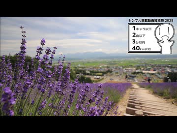 富良野に香るラベンダーに包まれて【シンプル車載動画投稿祭2025】