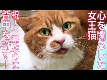 心を閉ざした女王猫、2年ぶりに背中を許す