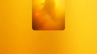 尊い御魂 11