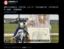 大型犬を抑えて警察犬の競技会で優勝するミニチュアシュナウザー