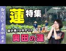 #131①『奈良ならでは蓮特集』役小角さまゆかりの奥田の蓮と法華寺の蓮