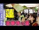 #132②『奈良ならでは蓮特集』役小角さまゆかりの奥田の蓮と法華寺の蓮