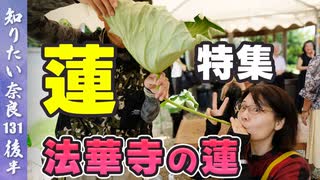 #132②『奈良ならでは蓮特集』役小角さまゆかりの奥田の蓮と法華寺の蓮