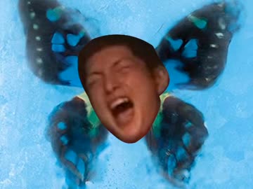 あ゛ぁ゛ゲハ蝶