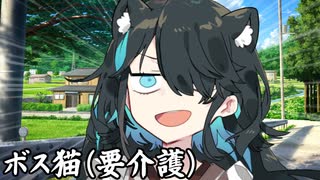 ボス猫（要介護）