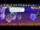 たまごっちプチプチおみせっち　ナイトプールやさん　わがシエっちおもてなし　お店ゴッチー　＃９２　【おまちど～さま！】