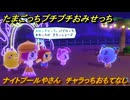 たまごっちプチプチおみせっち　ナイトプールやさん　チャラっちおもてなし　お店ゴッチー　＃９９　【おまちど～さま！】