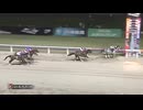 第29回スパーキングレディーカップ（ホクトベガメモリアル） フェブランシェ