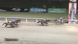 第29回スパーキングレディーカップ（ホクトベガメモリアル） フェブランシェ