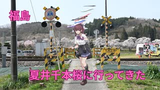 福島 夏井千本桜に行ってきた【ボイスロイド 旅行】