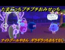 たまごっちプチプチおみせっち　ナイトプールやさん　ギラギラっちおもてなし　お店ゴッチー　＃１０４　【おまちど～さま！】