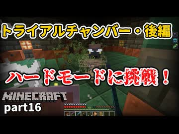 【Minecraft】挑戦という名の冒険【part16】