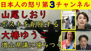【山尾しおり】ポストをサクッと削除して非難の嵐【大椿ゆうこ】増山県議に「私に挨拶しなさいよ！」といきり立つ