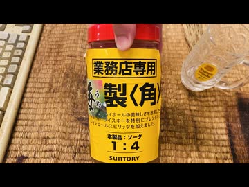 毎日暑いので自家製うめハイボール飲んでみた