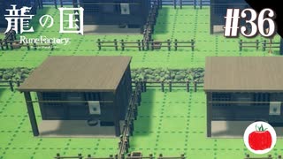 【実況】龍の国 ルーンファクトリーを初見で遊ぶいも【#36】※ネタバレあり