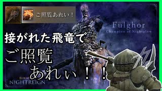 強化版フルゴールを接がれた飛竜でご照覧あれぇぇぇぇぇぇい！！！！する無頼漢（カタリナ）【ELDENRING NIGHTREIGN】