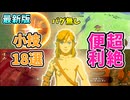 最新版ティアキンの超絶便利な小技まとめ(バグなし)【ティアキン TotK】ゆっくり実況