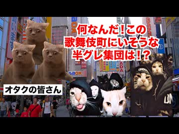 【秋葉原】都市再開発で観光客激増！？治安悪化で第二の歌舞伎町と化したオタクの聖地 #猫マニ #猫ミーム