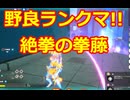 【ヒロアカUR】野良ランクマシリーズ!!絶拳の拳藤!!