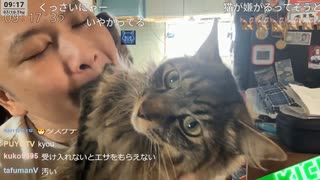 [勇者トロ]猫を溺愛するがルビーから表情無くなる・・・　　250710