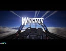 プロジェクト・ウィングマン RTA NG+ ALLPLANE チート機体縛り 02:51:05 (Merc)