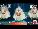 【実況】龍の国 ルーンファクトリーを初見で遊ぶいも【#37】※ネタバレあり