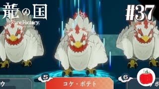 【実況】龍の国 ルーンファクトリーを初見で遊ぶいも【#37】※ネタバレあり