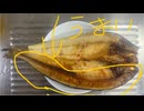 マオズショップ　北海道　干し　ホッケ　グリル　焼き