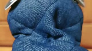 理不尽