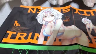 トリニティセブンのブックカバー