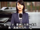 本日2025【７月１１日】のニュース