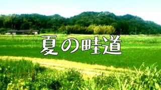 夏の畦道 / リク feat. Ryo