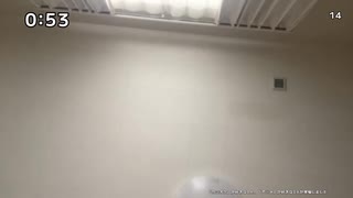 こばぶ「めじろうは私にかわいいかわいい言ってて…本当にかわいかったよって…それもネタで済ませるんですかね？」