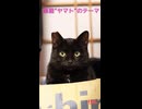 黒猫"ヤマト"のテーマ