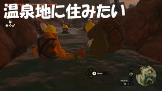 #214【ゼルダの伝説 ティアーズ オブ ザ キングダム】将来は温泉地に住みたいと思ったりもしてます！