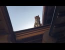 【ゆきみ】　たぬきの切り抜き　その３