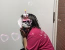 にーちゃん生誕記念”HandClap”踊ってみた