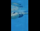 平泳ぎあるある