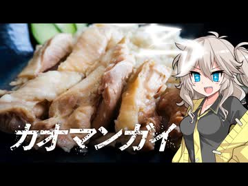 今日のランチはカオマンガイ！【カオマンガイリレー第二十五夜】