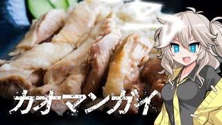 今日のランチはカオマンガイ！【カオマンガイリレー第二十五夜】