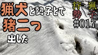 狩猟勢子動画＃017 猟犬と勢子とで猪二つ出した