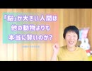 身体的に「脳」が大きい人間は、他の脳が小さな生物よりも本当に賢いのか？【エネルギーの次元が開くと現代はそれが逆転していることが分かる】