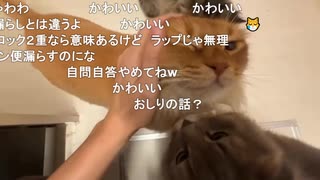 ミュートさんの鶏の唐揚げ作り（仕込み編）