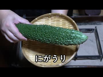 ゴーヤチャンプルー【長火鉢とおっさん 408】