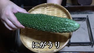ゴーヤチャンプルー【長火鉢とおっさん 408】